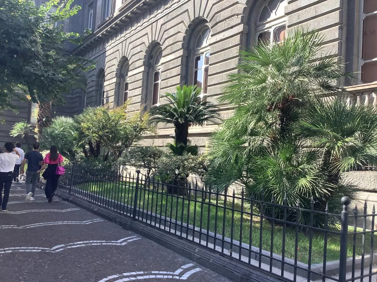 Tinnyhouse Napoli